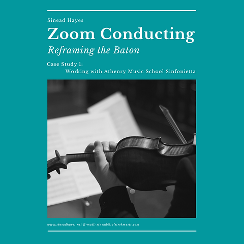 Copy of Zoom Conducting Case Study 1.png