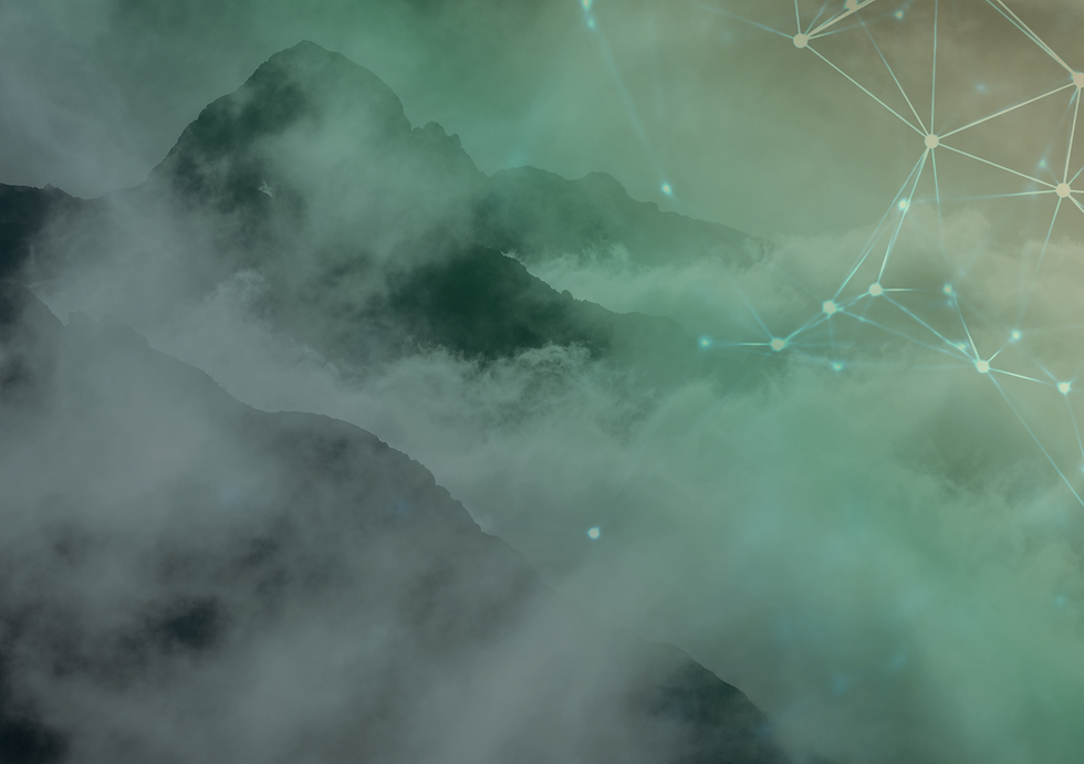 ICON Web (1).png