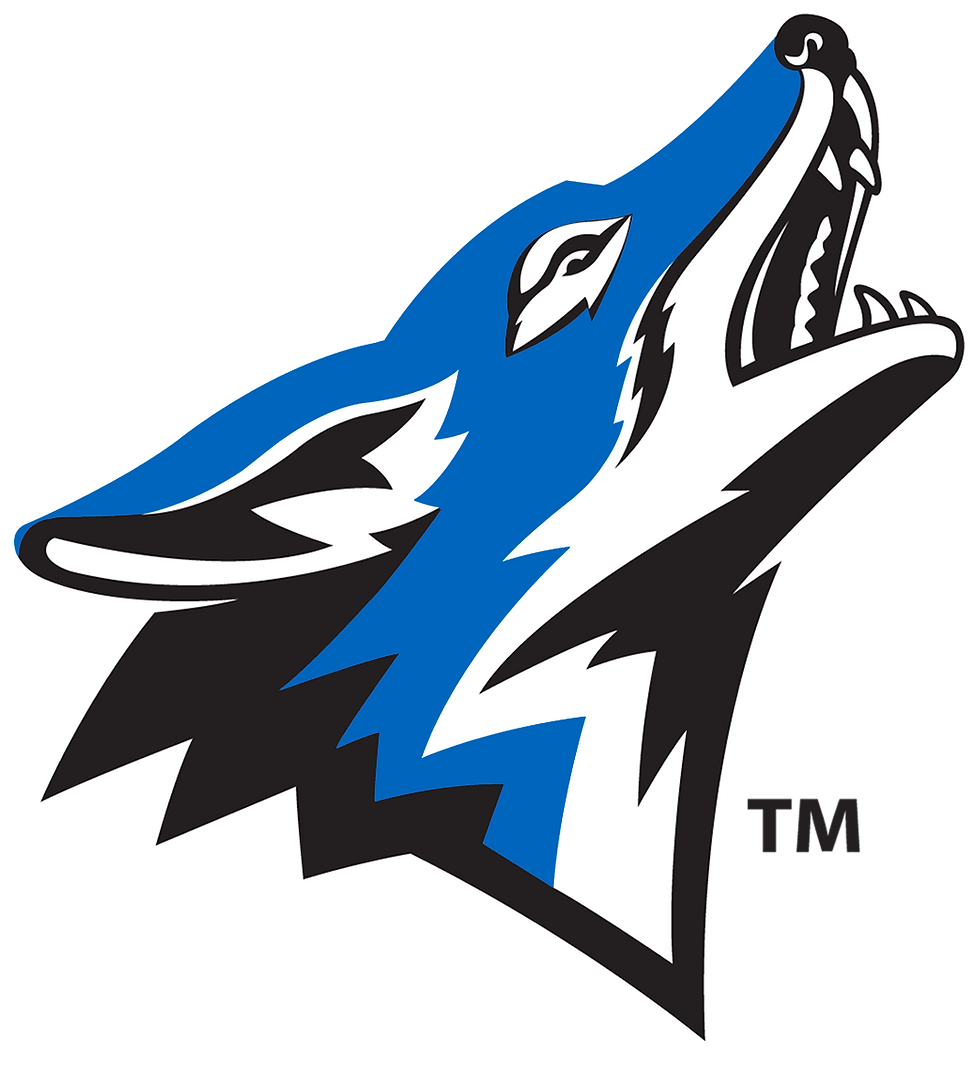 Cal State San Bernardino logo