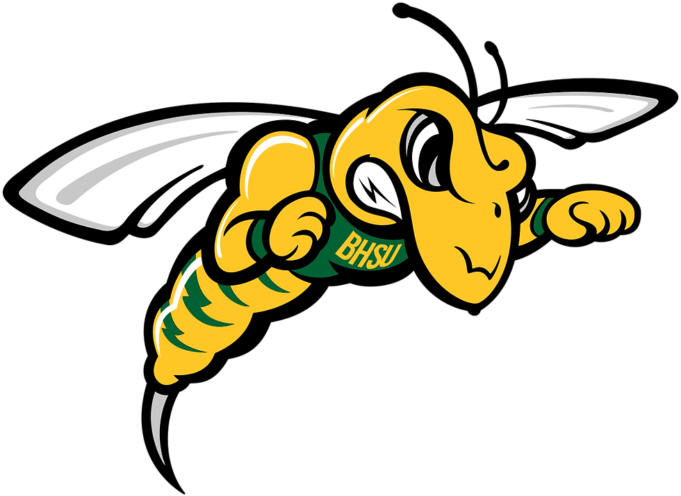 Black_Hills_State_Yellow_Jackets_logo.svg