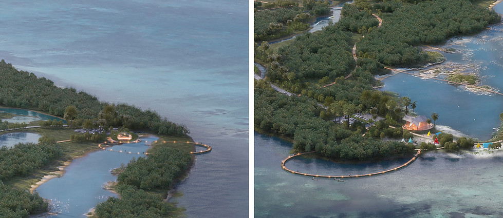 OLA Website Image.jpg