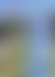 1 MAY from 11 a.m to 7 p.m Spring Solidarity Market with music and dance