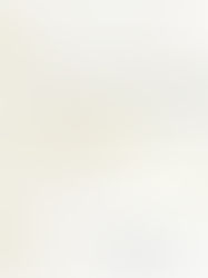 Dar la parola ai muti: la sfida della storia dell'arte - conferenza di Cristina Acidini