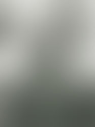 Leonard Woolf