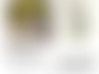 Exhibition and Cultural Talk on the Language of Flowers, 2 April at 3:30 pm 