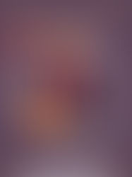 TRITTICO SEMIDECENTE