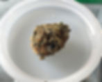 Garlic Breath 2.0