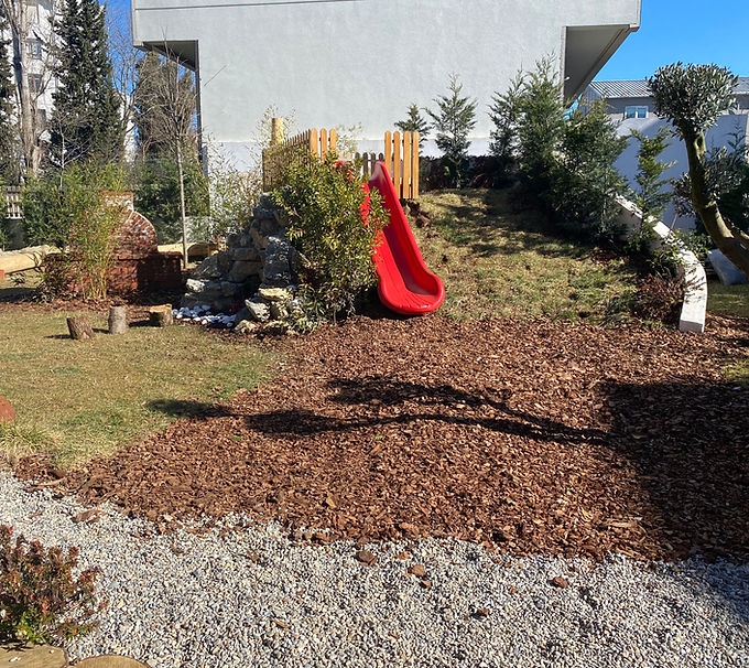 IMG_5254.jpg