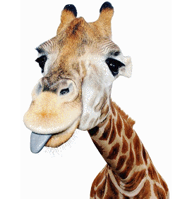 giraff 2.gif
