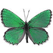 butterfly_day02.jpg