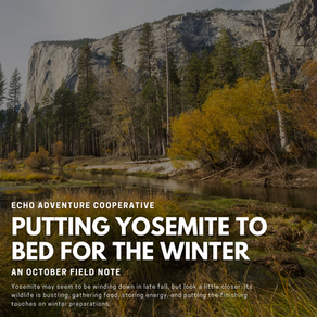 Fall colors in Yosemite Valley 