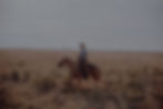 Horseback rider by Bailey Alexander