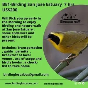 c47f58_520db1486da747efb0a0ad8e04b71847~mv2.webp
