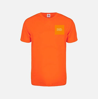 preview (7).jpg