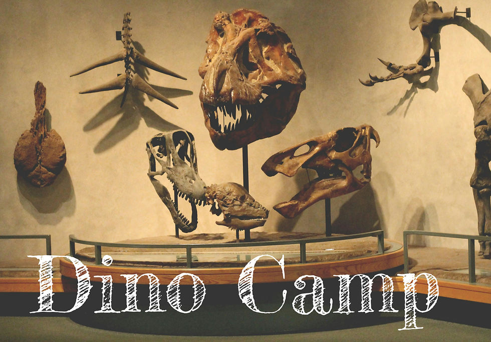 Dino Science Camp (1)