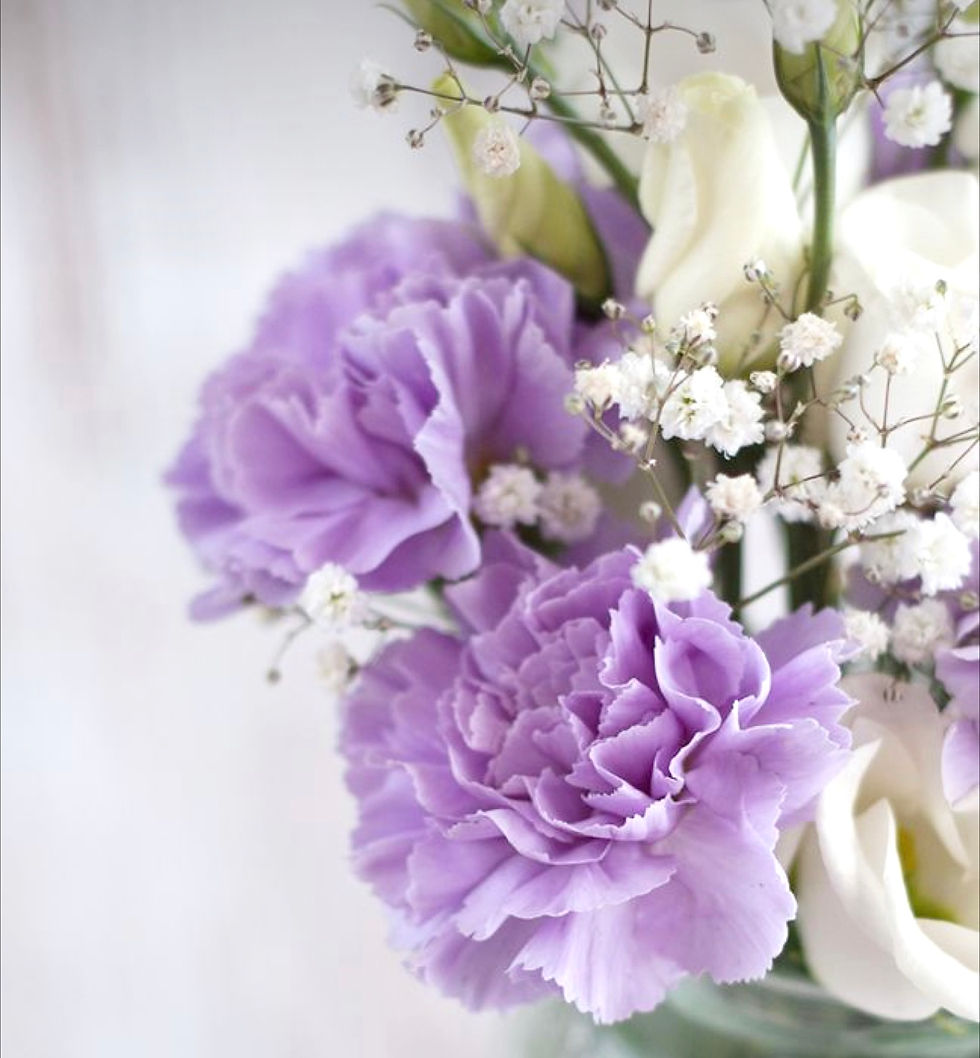 Thumbnail: Baby Carnations