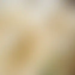 Apa Itu Lemon Meringue? Kenali Rasa, Tekstur, dan Asal Usulnya