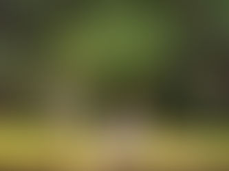 Childhood Memories: Finding Your Strengths