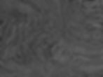 AdobeStock_grey organic swirl 273258702.jpeg