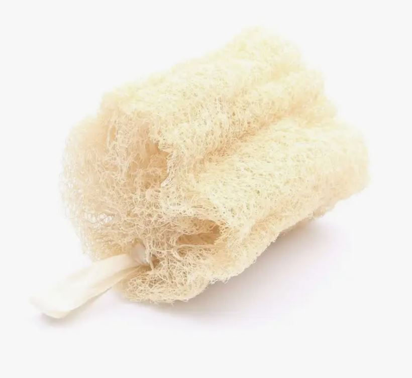 Miniatura: Spugna corpo in luffa