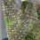 Thumbnail: Borse in rafia