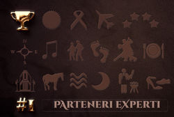 30.01.Parteneri experti