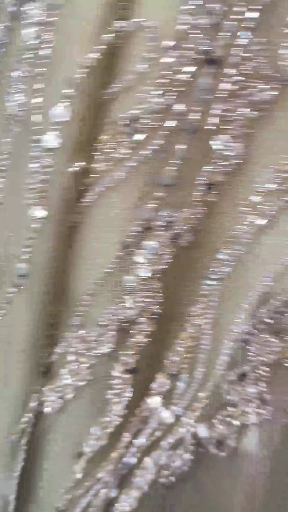 Thumbnail: SS323