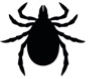 tick