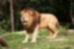 High School Zoo Trip