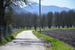Route des Fayards, Moirans