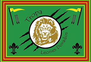 bandera tropa.PNG