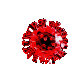 COVID19_rdy.gif