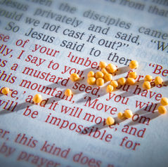 A Mustard Seed of Faith