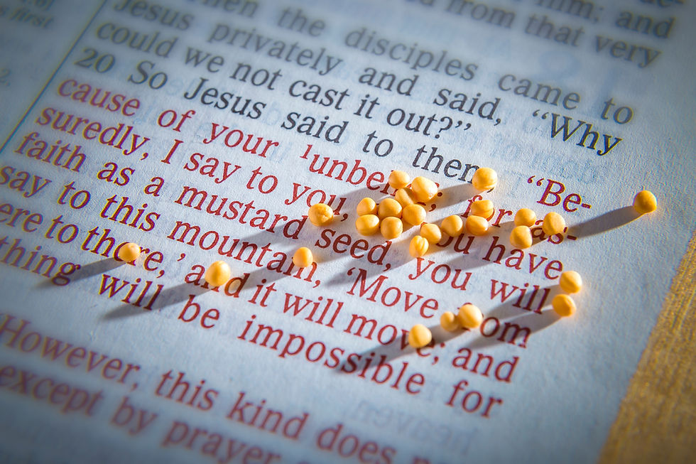 A Mustard Seed of Faith