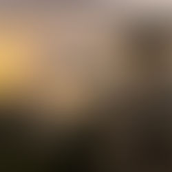 My Life in God's Hands