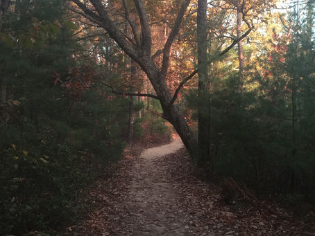 I can’t remember the quote…