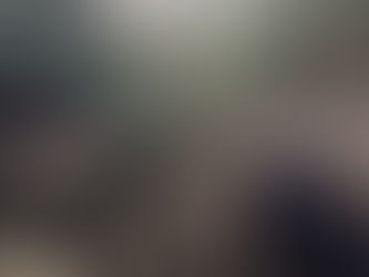 The best step is the next step