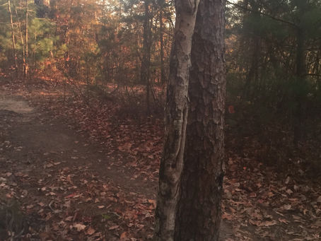 Start from where you are