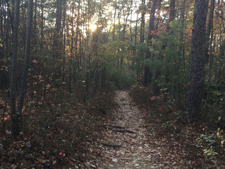 My friends, rest easy while standing firm