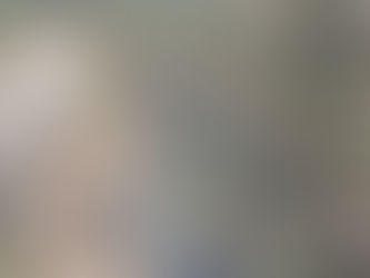 Organizational Saboteurs