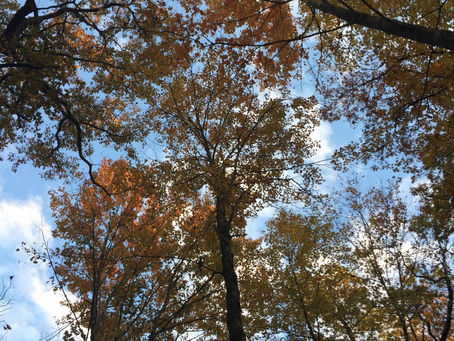 The Hard days and Faith muscles…