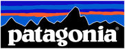 patagonia-logo.jpeg