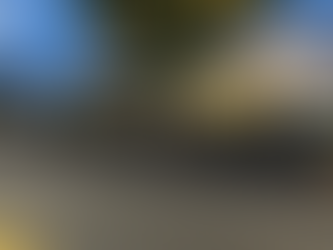 Giving Protesters a Pass: