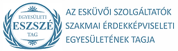 Esküvői videós szervezet logója