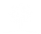 white%20tree-01_edited.png