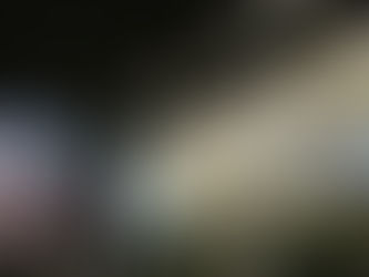 桜の花の命は短い