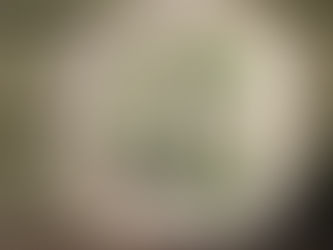 陶器製の花の壁飾り(ハナミズキ)