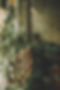 relaxing-space-7454948_1920.jpg