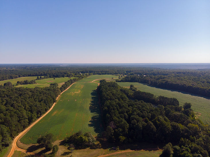 Ashland Berry Farm Drone.jpg