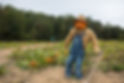 Ashalnd Berry Farm Pumpkin Patch-11.jpg